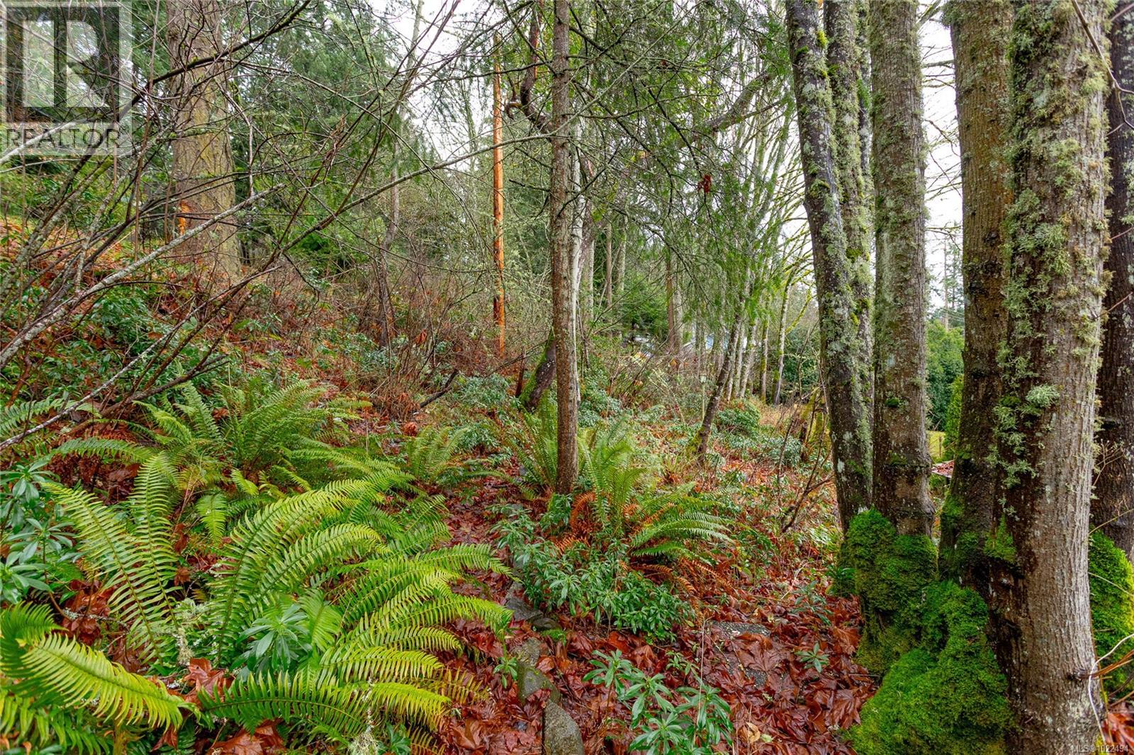 1208 Tatlow Rd, North Saanich, British Columbia  V8L 5P3 - Photo 49 - 1022494