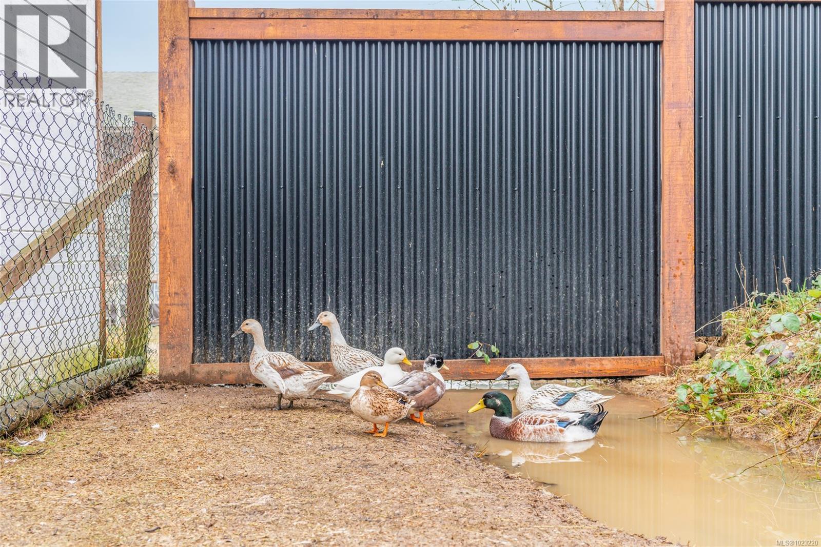 6126 Renton Rd, Port Alberni, British Columbia  V9Y 8S7 - Photo 63 - 1023220