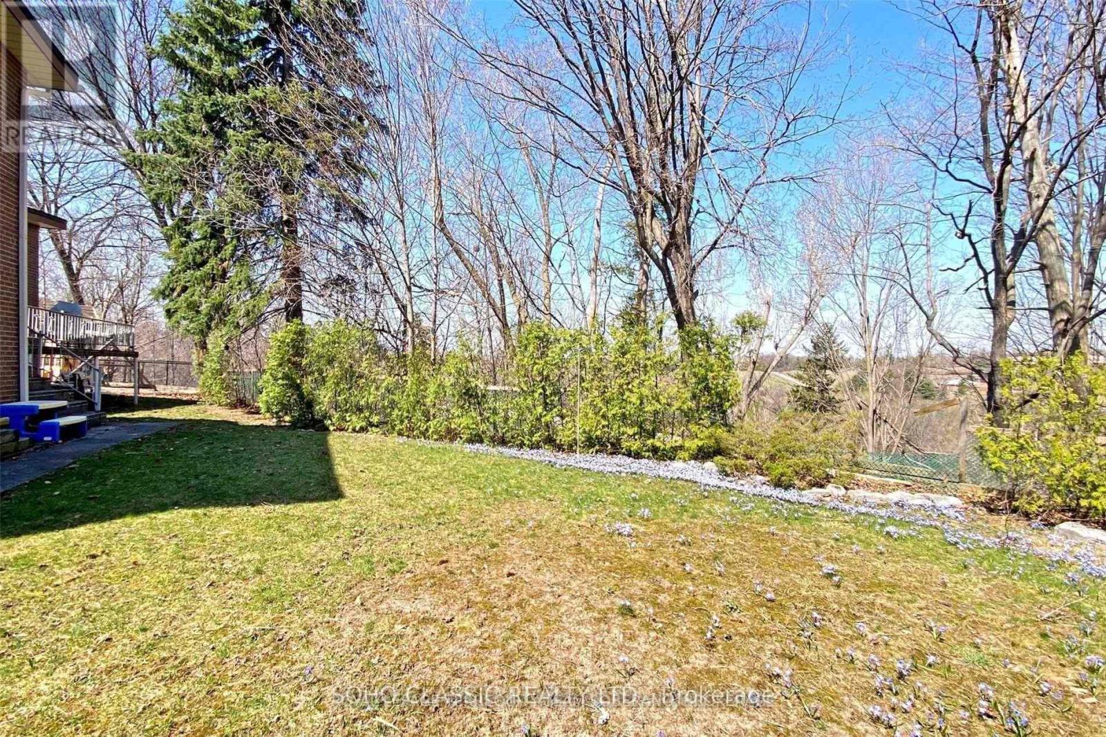 Bsmt - 29 Bayhampton Court, Toronto, Ontario  M3H 5L5 - Photo 14 - C12711670