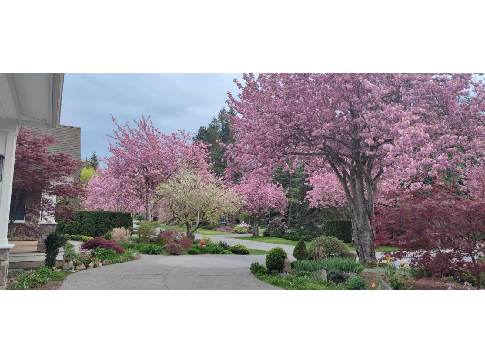 2732 Northcrest Drive, Surrey, British Columbia  V4P 2G9 - Photo 40 - R3080794