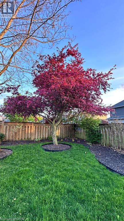 17 Dogwood Drive, Tillsonburg, Ontario  N4G 5S5 - Photo 41 - 40790578