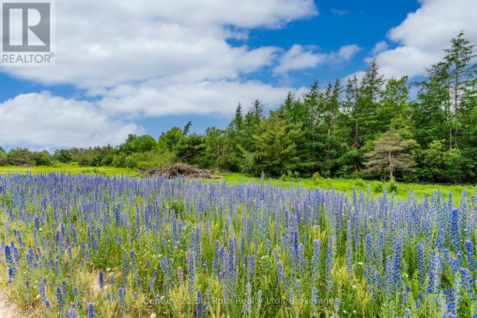 14 Greenlaw Court, Springwater, Ontario  L0L 1V0 - Photo 6 - S12711742