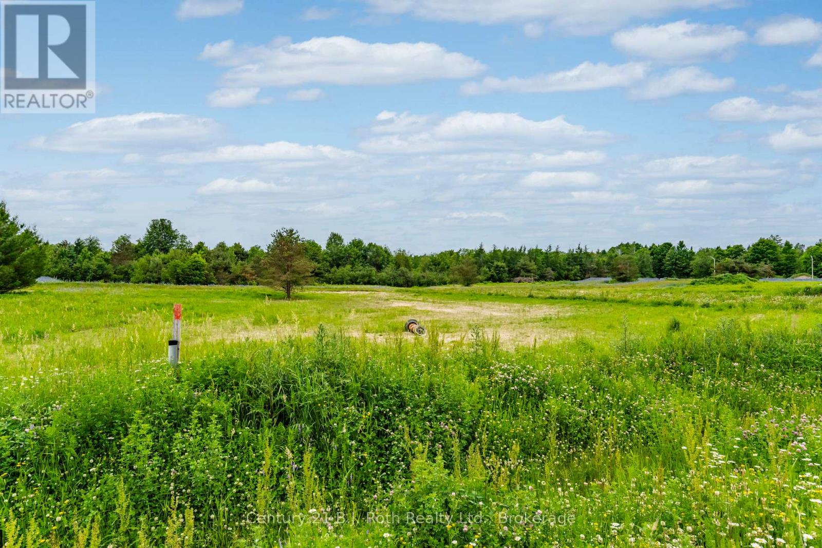 4 Rumble Court, Springwater, Ontario  L0L 1V0 - Photo 8 - S12711746