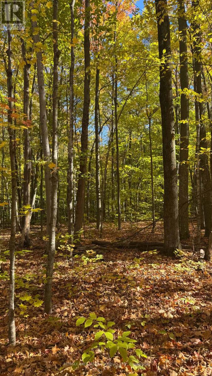 18723 County 18 Road, South Glengarry, Ontario  K0C 1S0 - Photo 41 - X12711812