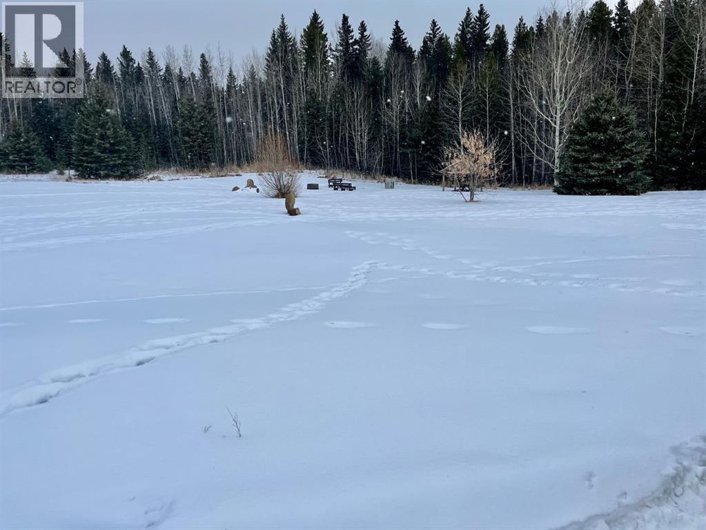 35, 80041 Old Hwy. 11a, Rural Clearwater County, Alberta  T4T 2A4 - Photo 7 - A2276512