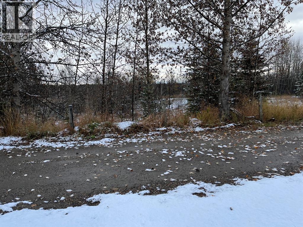 35, 80041 Old Hwy. 11a, Rural Clearwater County, Alberta  T4T 2A4 - Photo 5 - A2276512