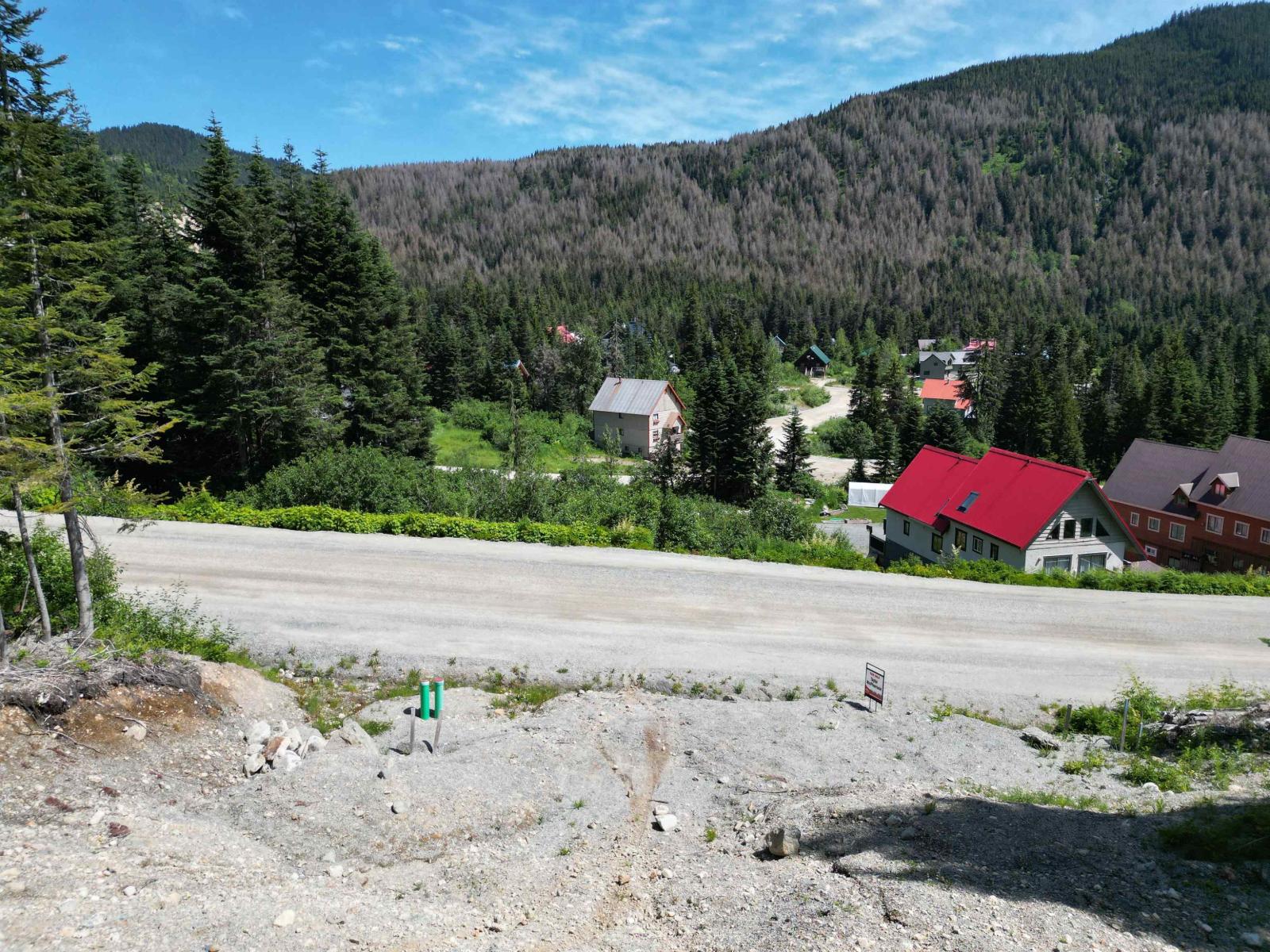 20689 Edelweiss Drive, Mission, British Columbia  V0M 1A1 - Photo 5 - R3080774