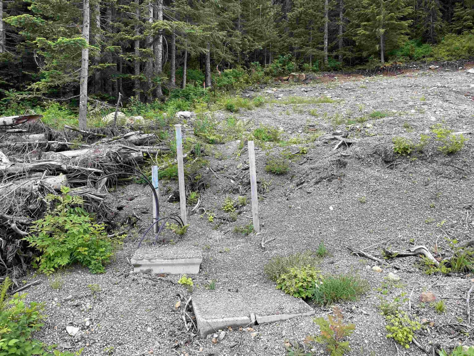 20689 Edelweiss Drive, Mission, British Columbia  V0M 1A1 - Photo 11 - R3080774