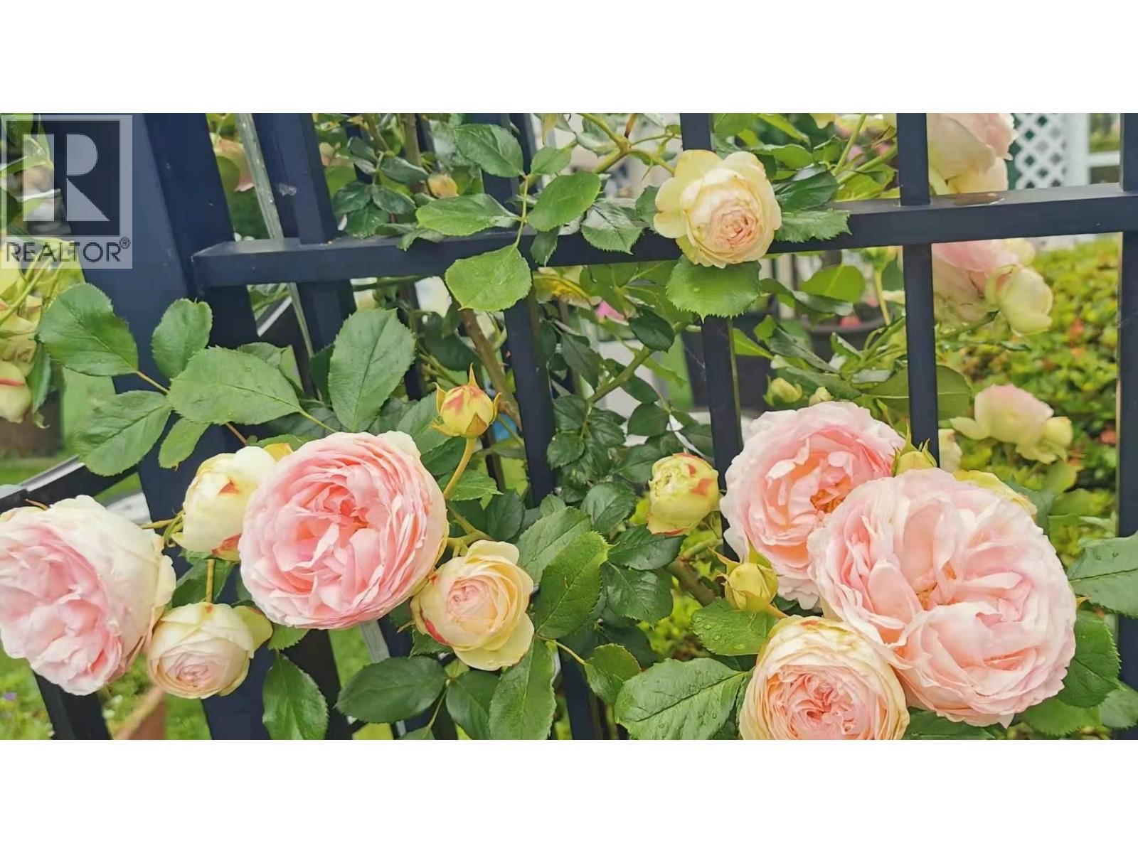 6593 Lochdale Street, Burnaby, British Columbia  V5B 2M7 - Photo 11 - R3080316