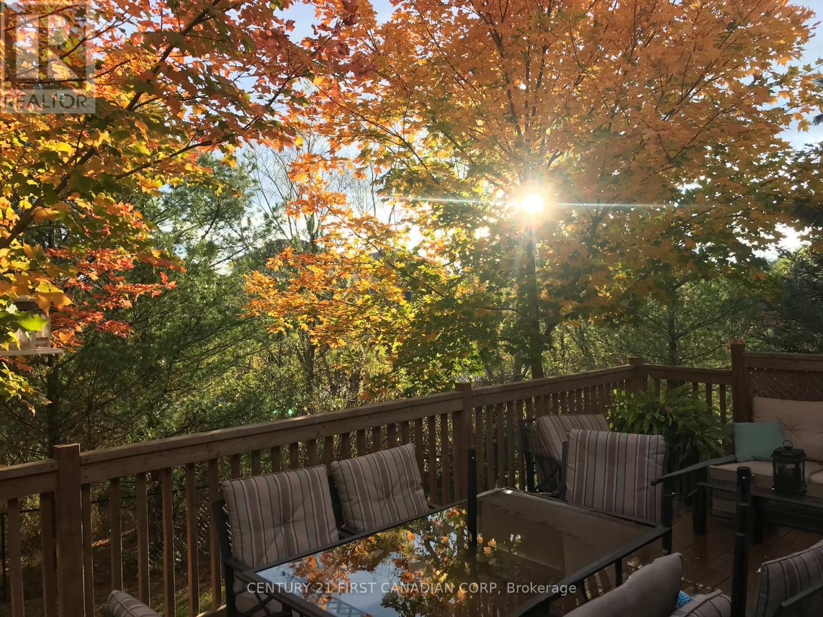 16 Blue Heron Place, St. Thomas, Ontario  N5R 6J6 - Photo 29 - X12712128