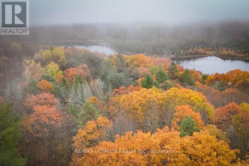 65 Sumac Lane, Scugog, Ontario  L9L 2C3 - Photo 39 - E12712184