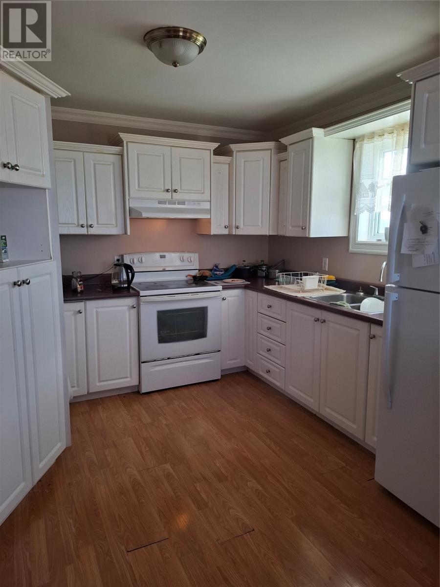 13 Burkes Road, Flowers Cove, Newfoundland & Labrador  A0K 2N0 - Photo 3 - 1293917