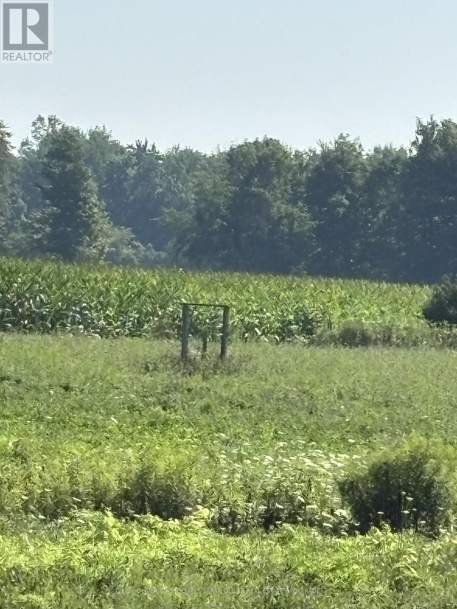 4688 Godby Road, Bayham, Ontario  N0J 1T0 - Photo 1 - X12712236