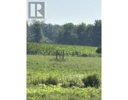 4688 GODBY ROAD, Bayham, Ontario