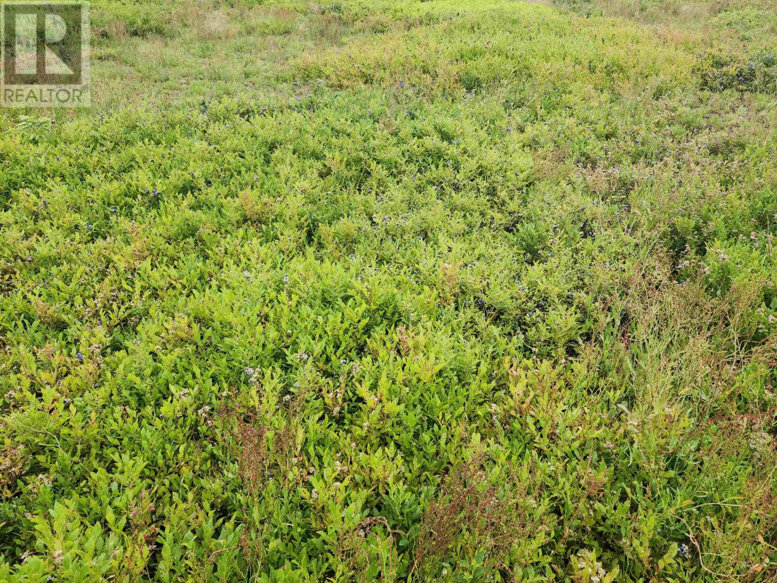 Acreage Colville Road, Ocean View, Prince Edward Island  C0A 1A0 - Photo 6 - 202601139