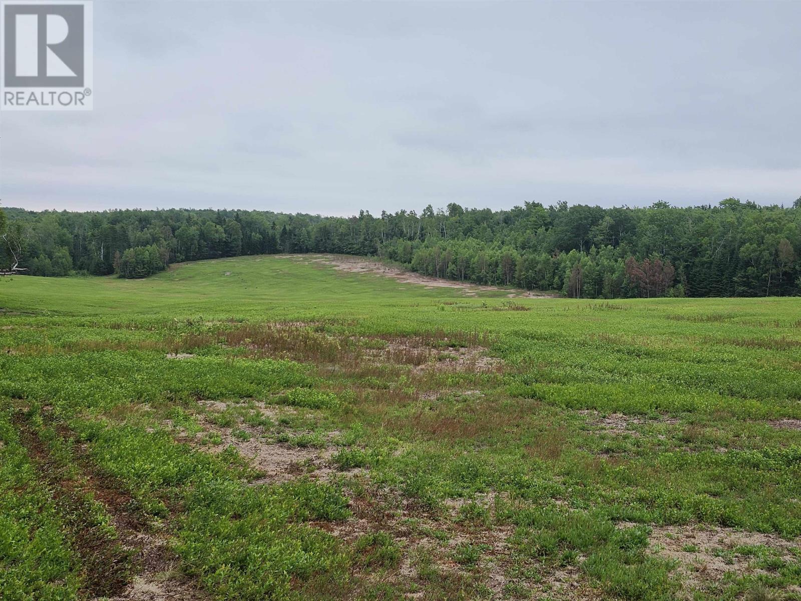 Acreage Wood Islands Road, Caledonia, Prince Edward Island  C0A 1A0 - Photo 3 - 202601141