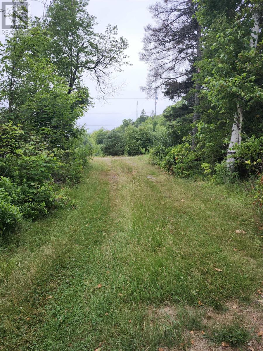 Acreage Wood Islands Road, Caledonia, Prince Edward Island  C0A 1A0 - Photo 4 - 202601141