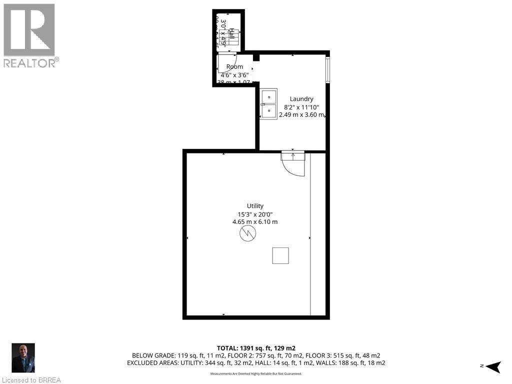 117 Murray Street, Brantford, Ontario  N3S 5P5 - Photo 28 - 40787988