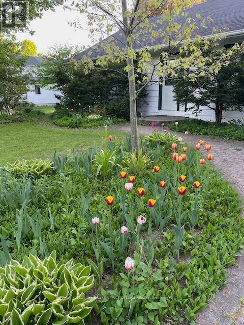 2326 Scrivens Drive, Ottawa, Ontario  K0A 2P0 - Photo 16 - X12712646