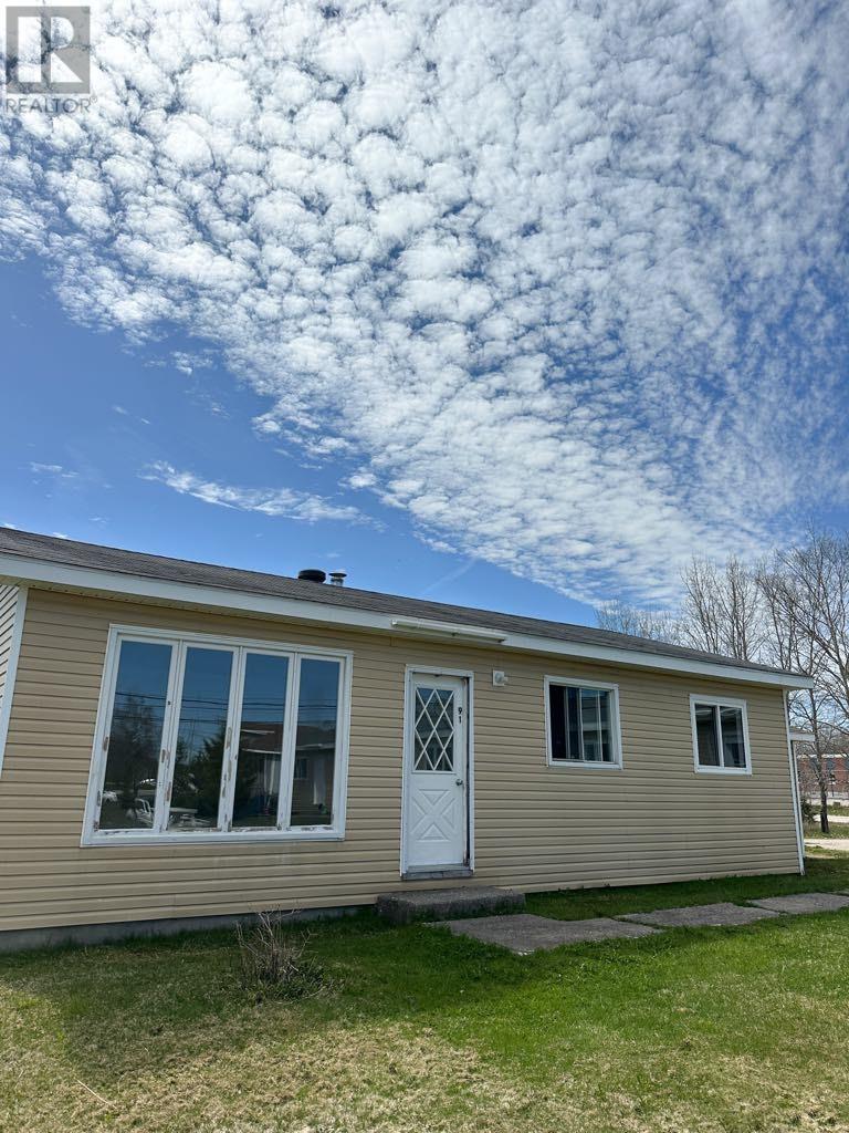 91 North Main Street, Deer Lake, Newfoundland & Labrador  A8A 2J3 - Photo 2 - 1293855