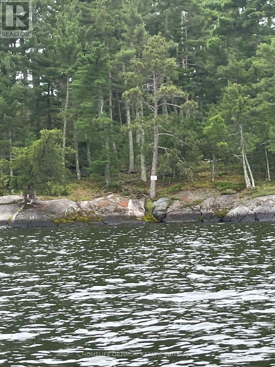 Pcl 3663 Rainy Lake, Rainy River, Ontario  P9A 3M3 - Photo 13 - X12712710