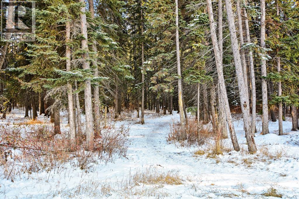 202, 10 Discovery Ridge Close Sw, Calgary, Alberta  t3h 5x3 - Photo 20 - A2280477