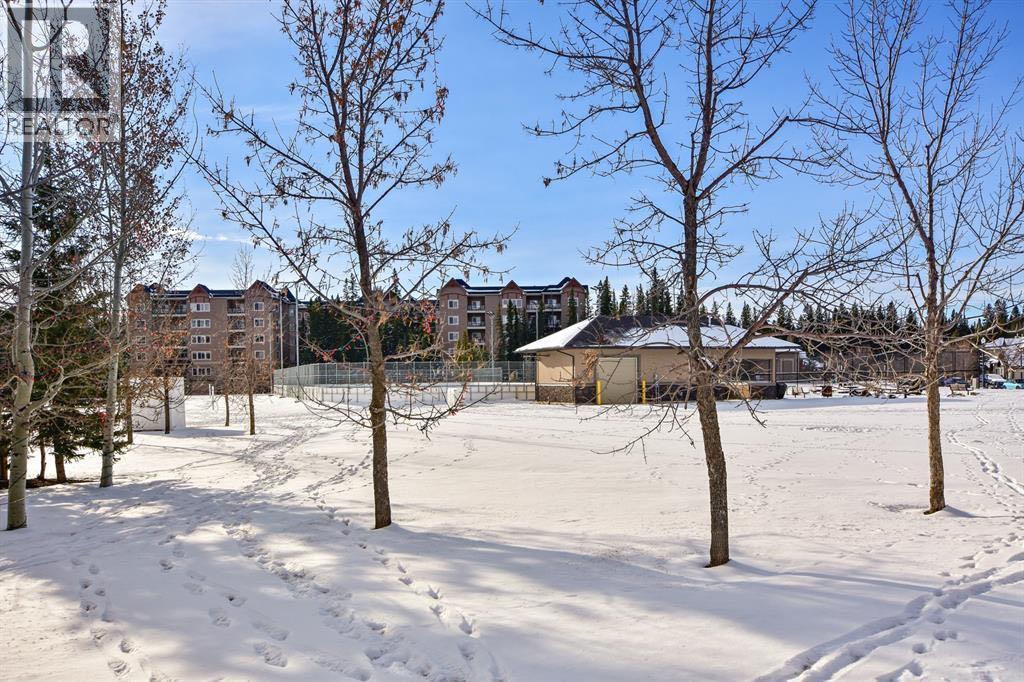 202, 10 Discovery Ridge Close Sw, Calgary, Alberta  t3h 5x3 - Photo 21 - A2280477