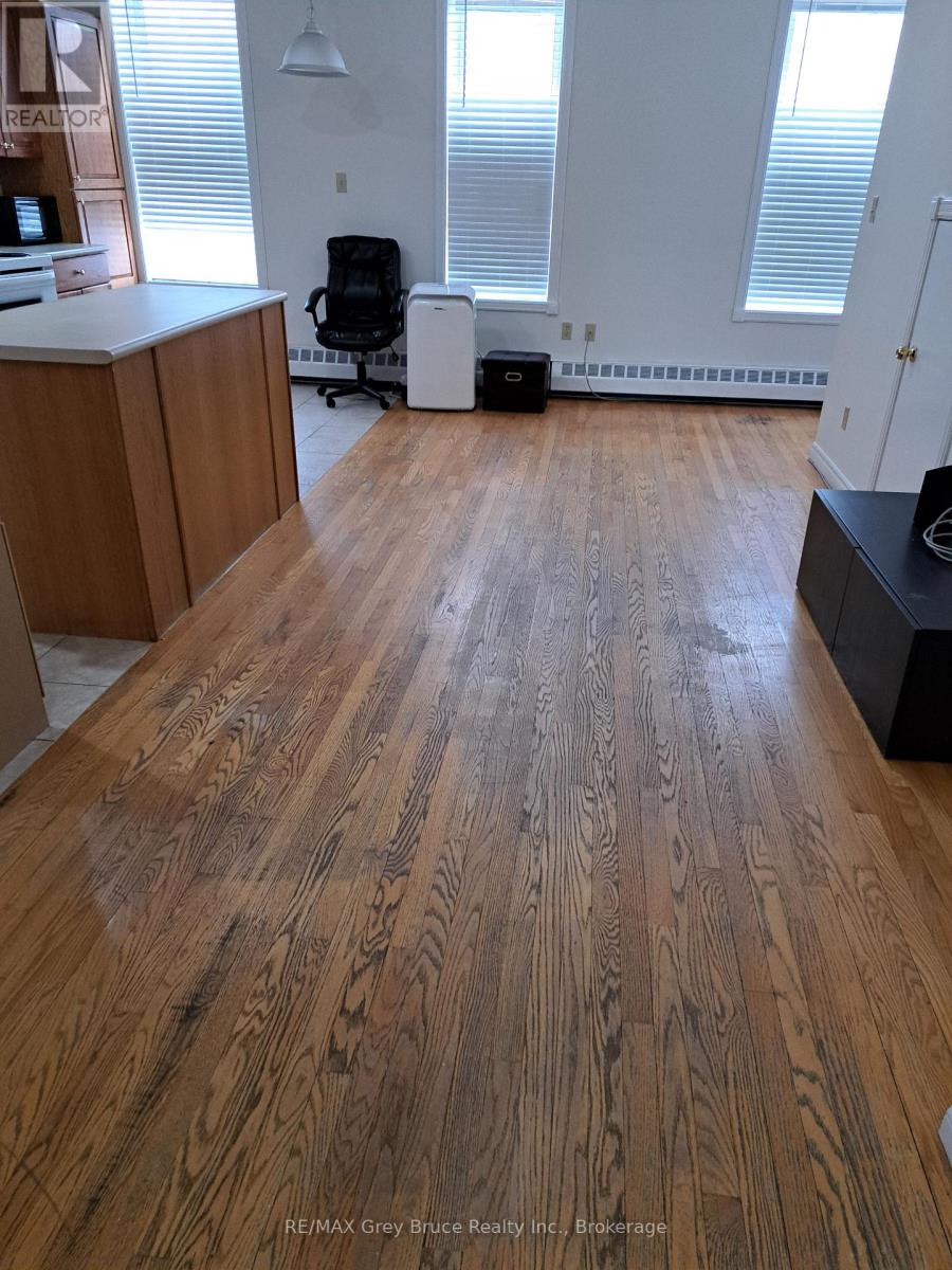 44 Sykes Street N, Meaford, Ontario  N4L 1V9 - Photo 1 - X12712906