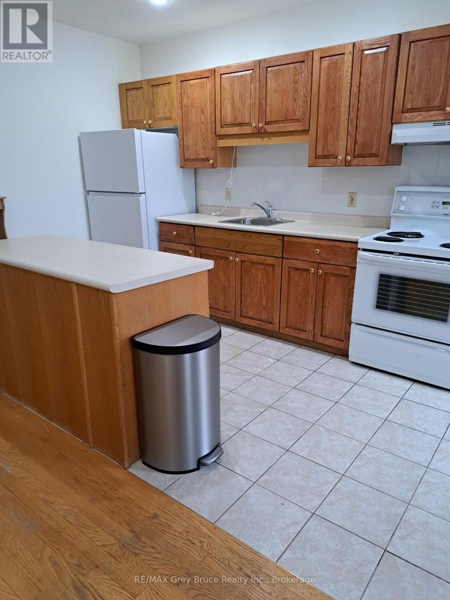 44 Sykes Street N, Meaford, Ontario  N4L 1V9 - Photo 3 - X12712906