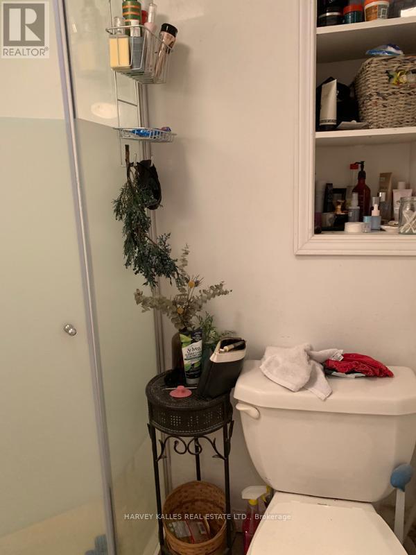 Lower - 32 Fuller Avenue, Toronto (Roncesvalles), Ontario  M6R 2C3 - Photo 10 - W12711466