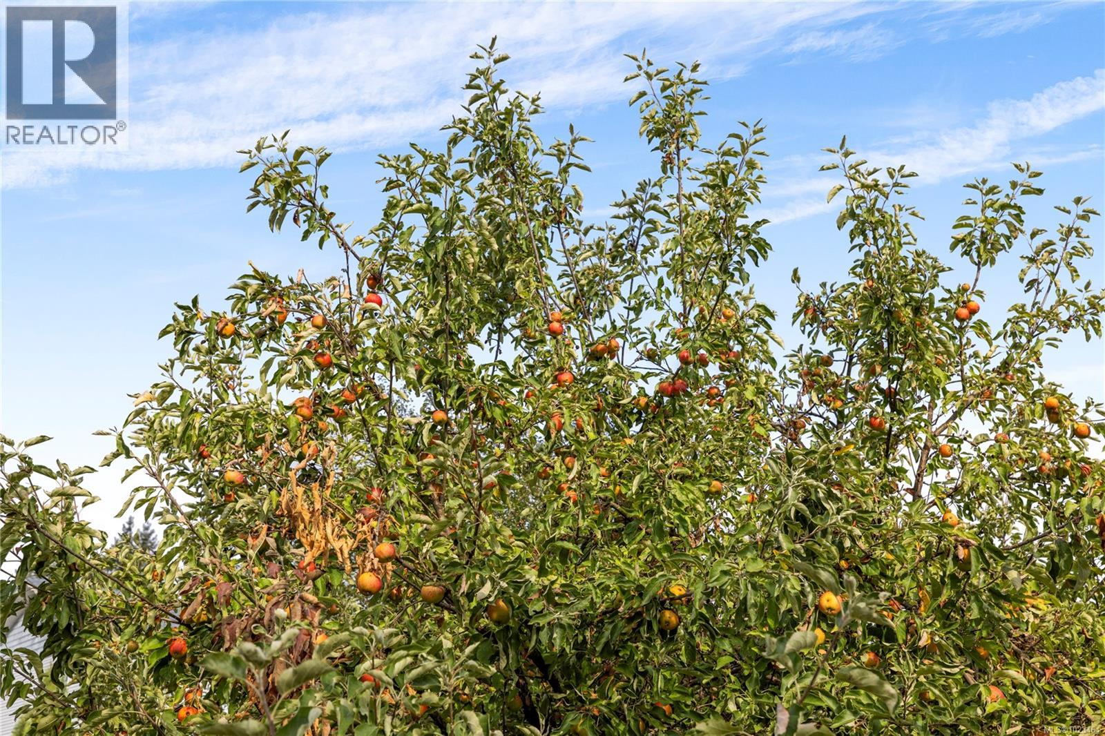 550 Hannah Rd, Nanaimo, British Columbia  V9R 7A2 - Photo 29 - 1023464