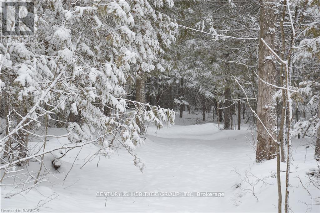 580223 Sideroad 60, Chatsworth, Ontario  N0H 1C0 - Photo 7 - X12713012