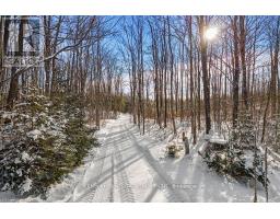 580223 SIDEROAD 60, Chatsworth, Ontario
