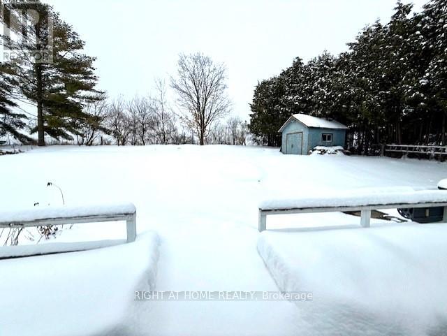 37 Pettet Drive, Scugog, Ontario  L9L 1B4 - Photo 35 - E12712946