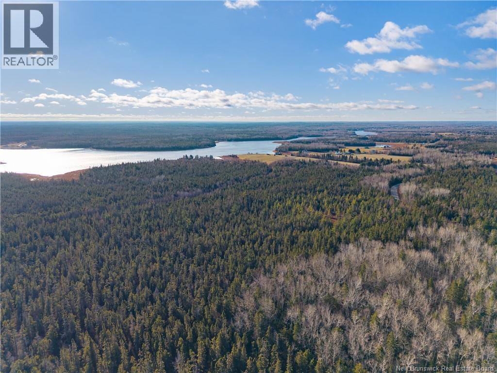 180 Murdock Road, Napan, New Brunswick  E1N 5A2 - Photo 48 - NB130572