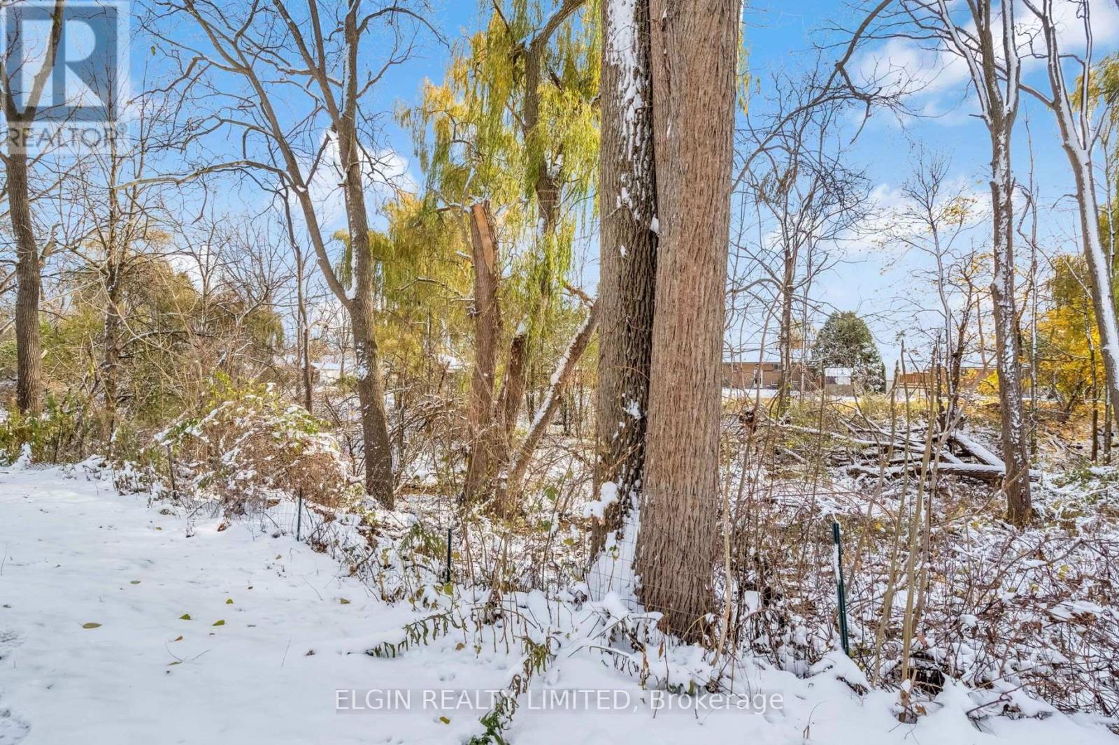 161 Chestnut Street, St. Thomas, Ontario  N5R 2B3 - Photo 39 - X12713512