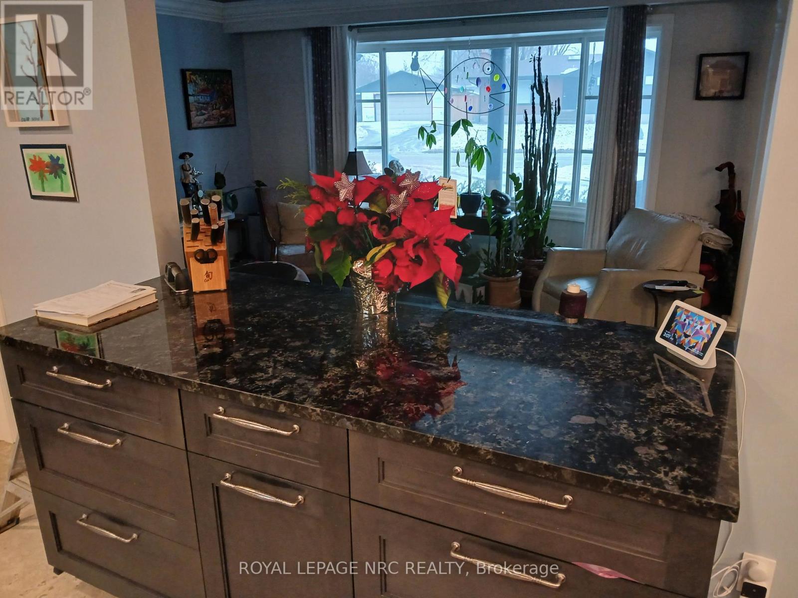 9 Cartier Drive, St. Catharines (Vine/linwell), Ontario  L2M 2E5 - Photo 37 - X12713410