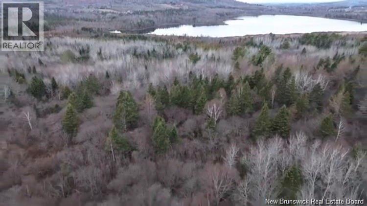 0 Tobin Road, Elmwood, New Brunswick  E7N 2C5 - Photo 6 - NB132362