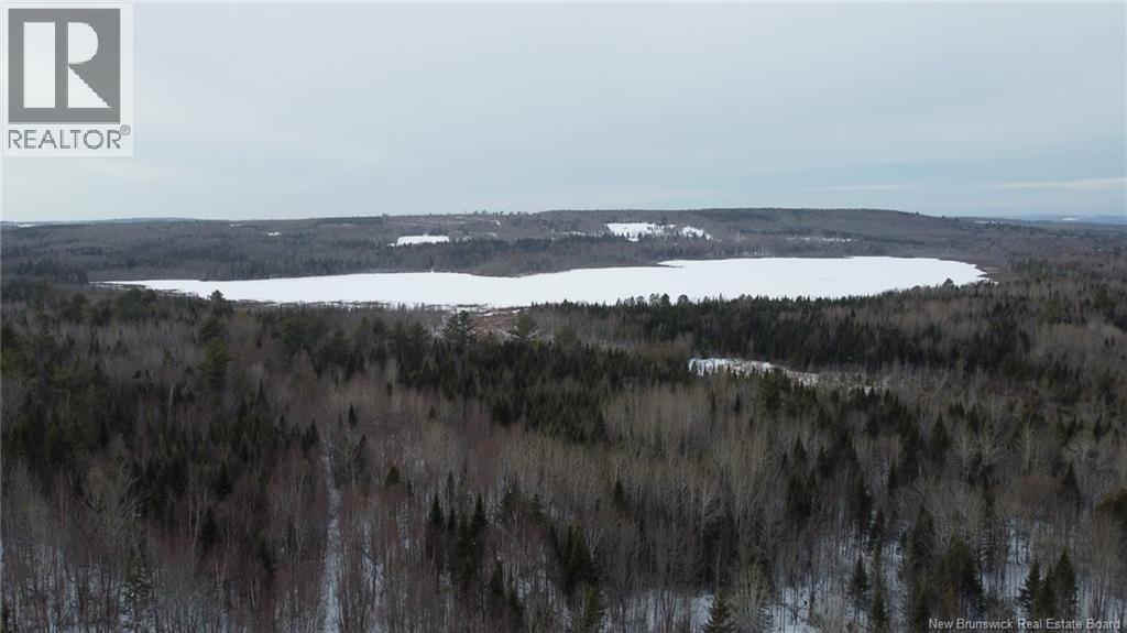 0 Tobin Road, Elmwood, New Brunswick  E7N 2C5 - Photo 5 - NB132362