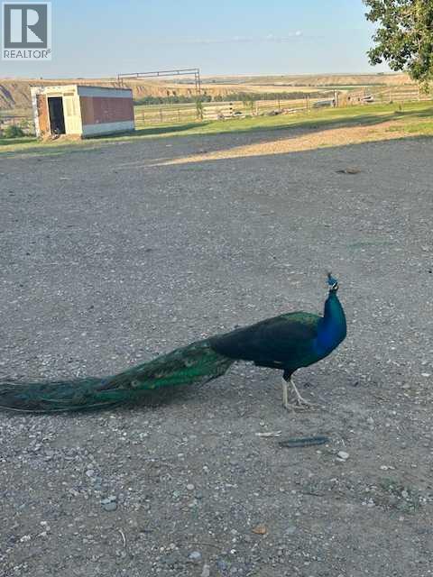 112029 Rr 144, Rural Taber, Alberta  T0K 1X0 - Photo 39 - A2228598