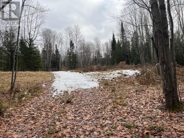 24 Settlers Road, Nipissing, Ontario P0H 1W0 - Photo 18 - X12559610