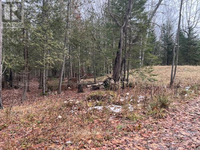 24 Settlers Road, Nipissing, Ontario P0H 1W0 - Photo 17 - X12559610