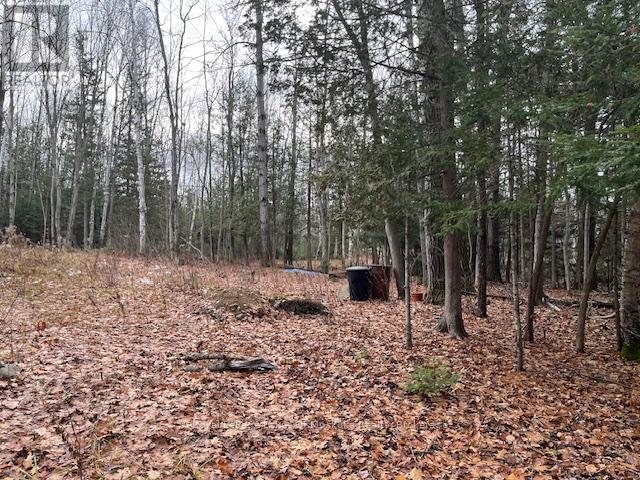 24 Settlers Road, Nipissing, Ontario P0H 1W0 - Photo 19 - X12559610