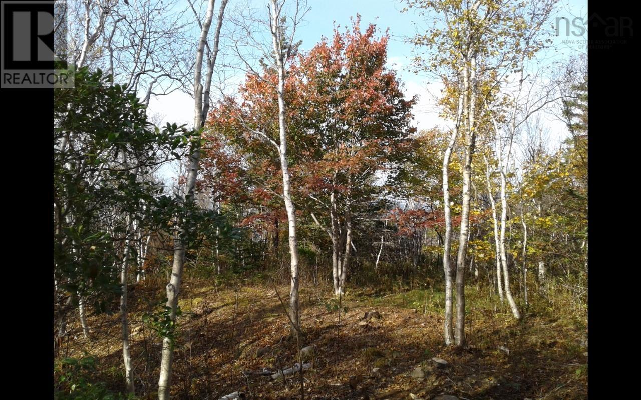 Lot Shore Road, Litchfield, Nova Scotia  B0S 1A0 - Photo 4 - 202601160