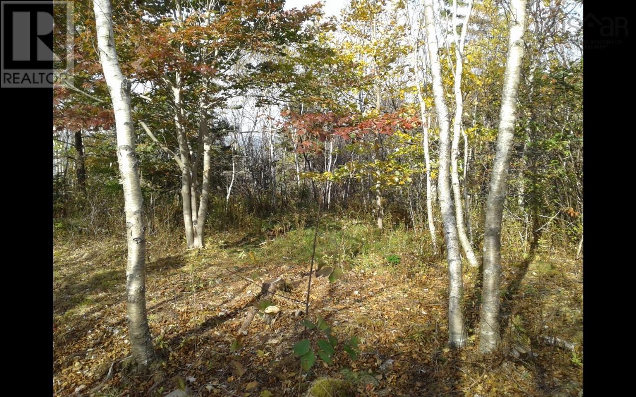 Lot Shore Road, Litchfield, Nova Scotia  B0S 1A0 - Photo 5 - 202601160