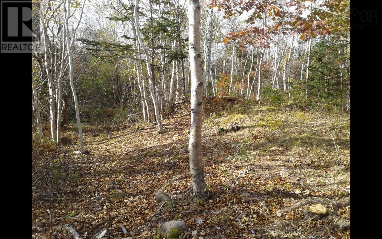 Lot Shore Road, Litchfield, Nova Scotia  B0S 1A0 - Photo 6 - 202601160