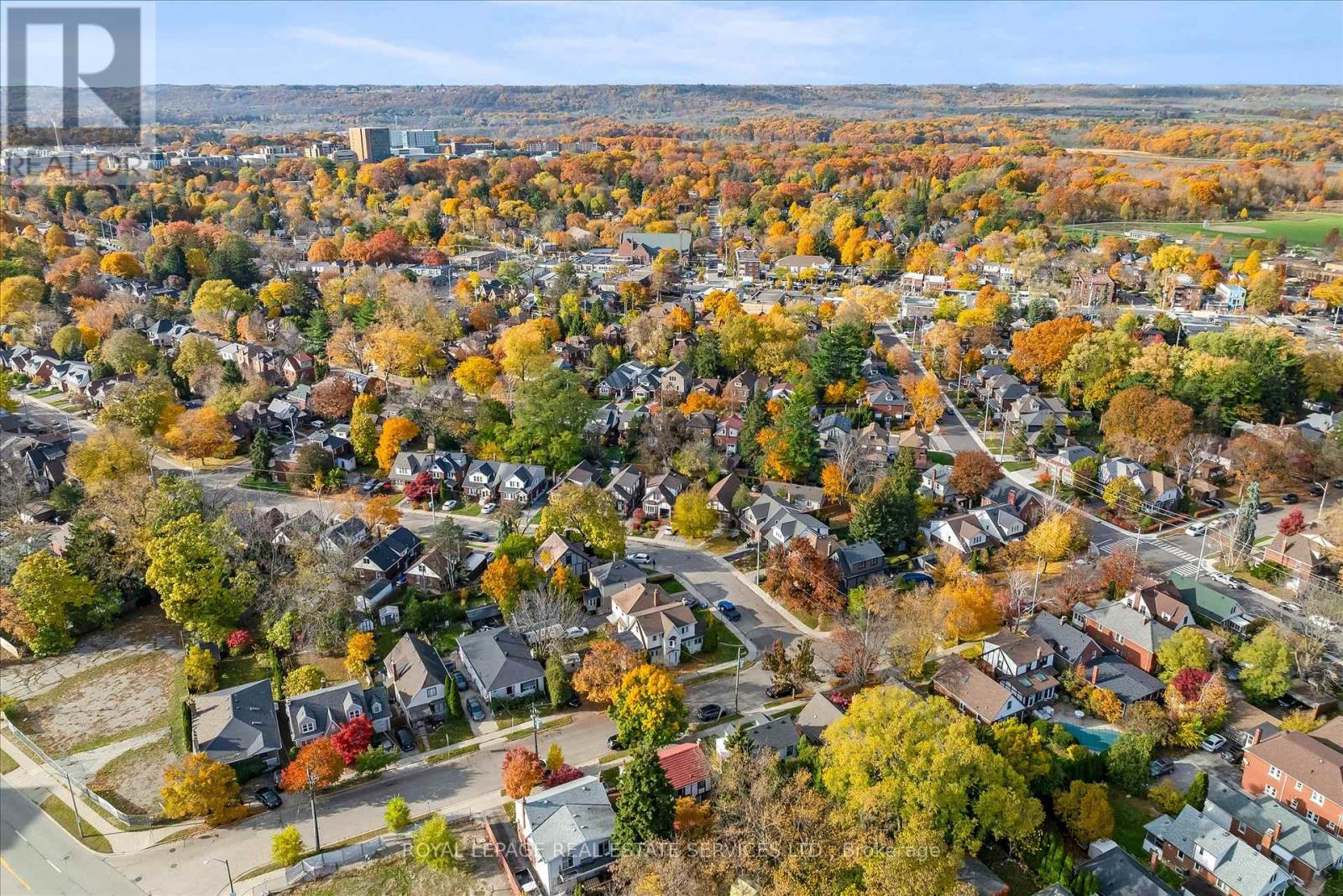 20 Arkell Street, Hamilton, Ontario  L8S 1N4 - Photo 38 - X12713320