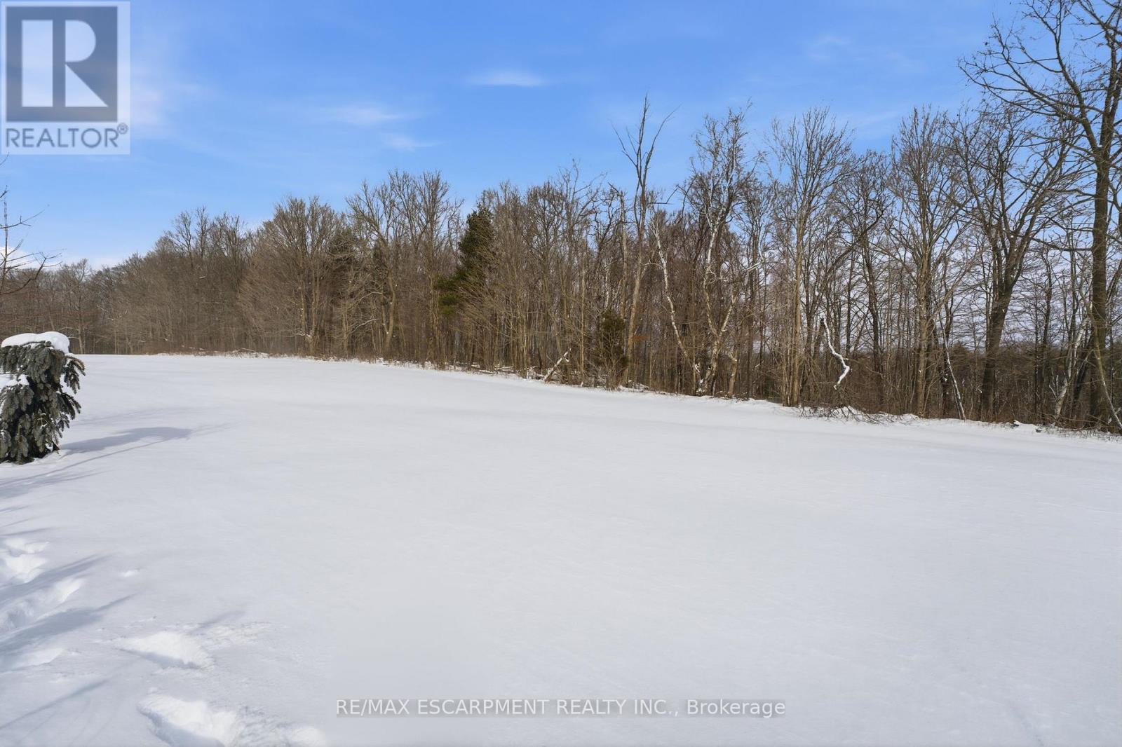 2 Cedar Street - 4449 Milburough Line, Burlington, Ontario  L7P 0C5 - Photo 29 - W12703464