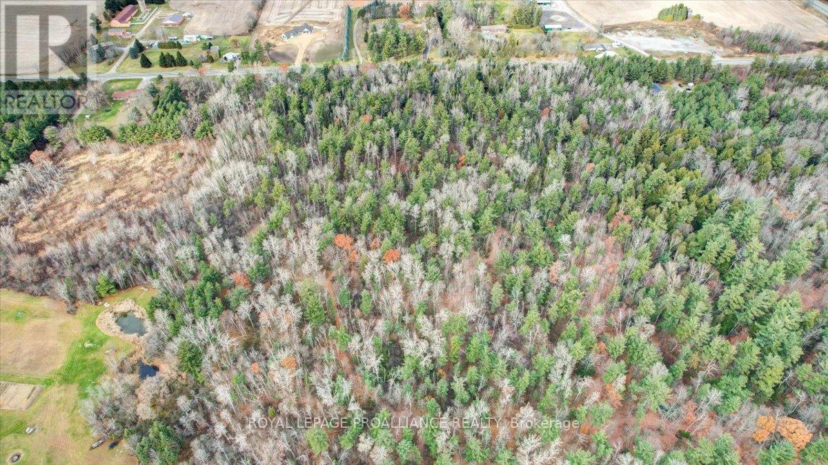001 Lot 2 Conc 7, Port Hope, Ontario  L0A 1B0 - Photo 15 - X12422167