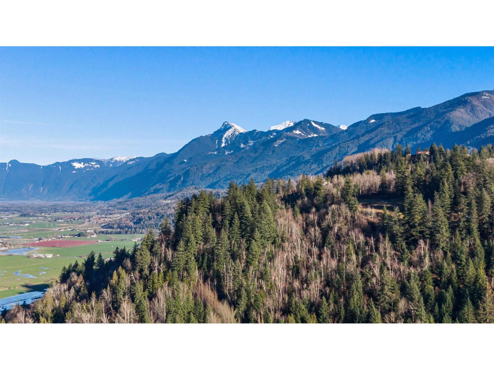 48585 Wincott Road, Ryder Lake, Ryder Lake, British Columbia  V4Z 1H1 - Photo 39 - R3080963